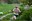 20260522 KmVertical_AM_@TravessaEncamp (8).jpeg