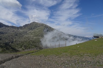 DSC05947.JPG.