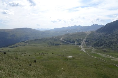 DSC05951.JPG.
