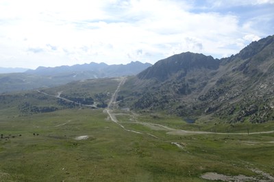 DSC05952.JPG.