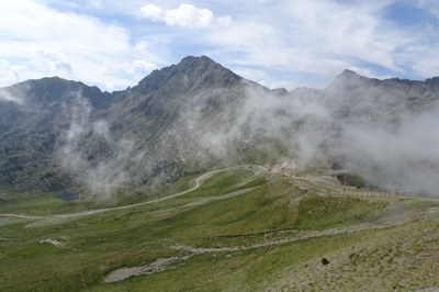 DSC05953.JPG.