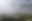 DSC05955.JPG
