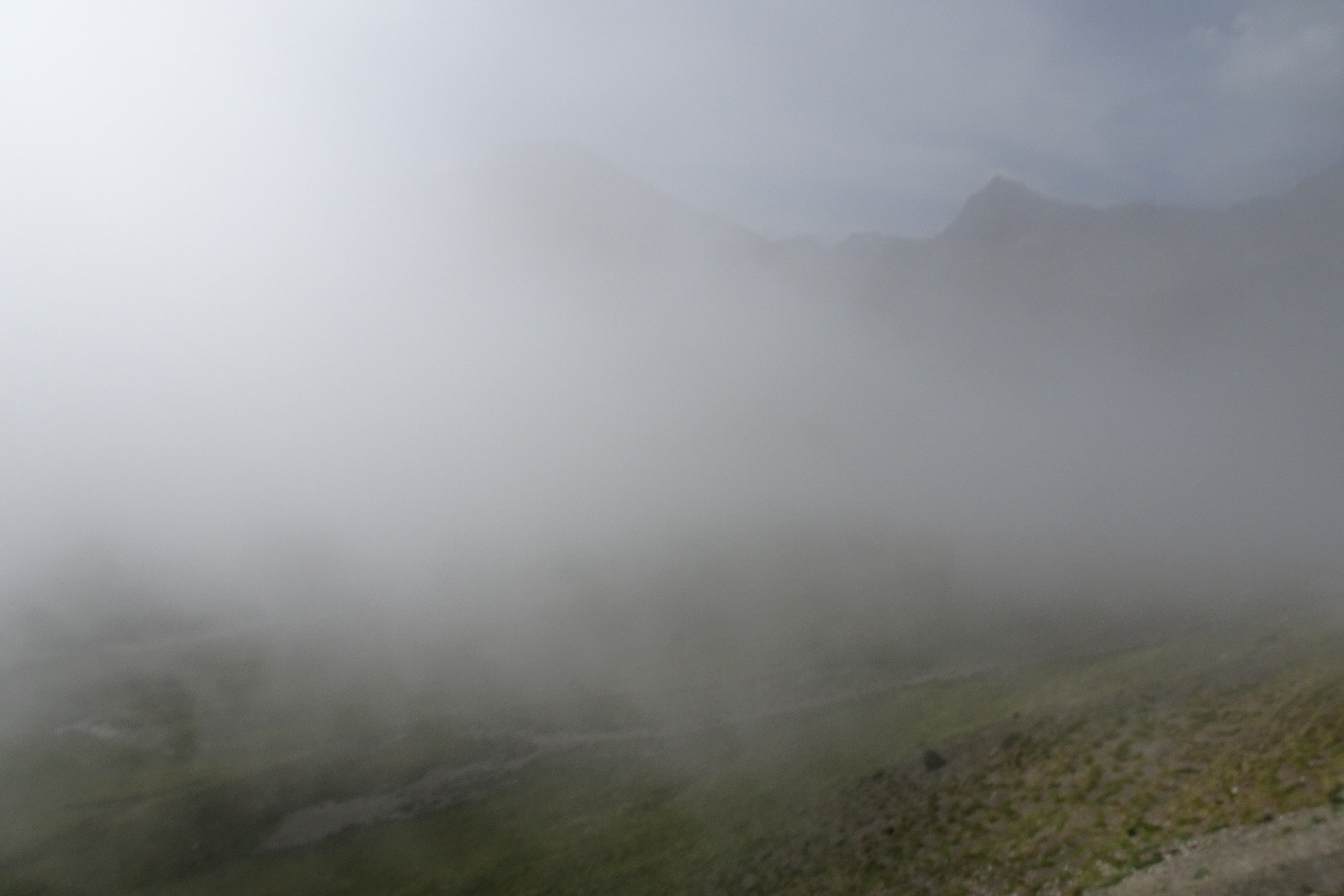 DSC05955.JPG