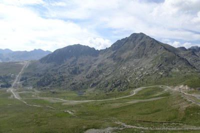 DSC05959.JPG.