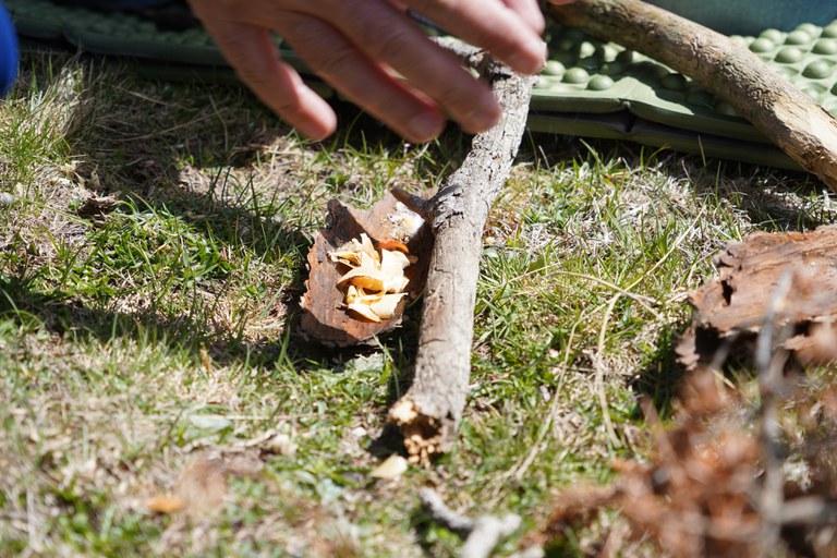 20260513 Aventura supervivencia @ComuEncamp (14).jpg