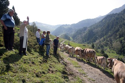 Benediccio bestiar 2014 035.jpg.