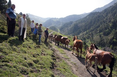 Benediccio bestiar 2014 063.jpg.