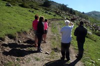 Benedicció del bestiar als Cortals d’Encamp