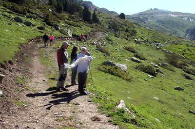 Benedicció bestiar-008.