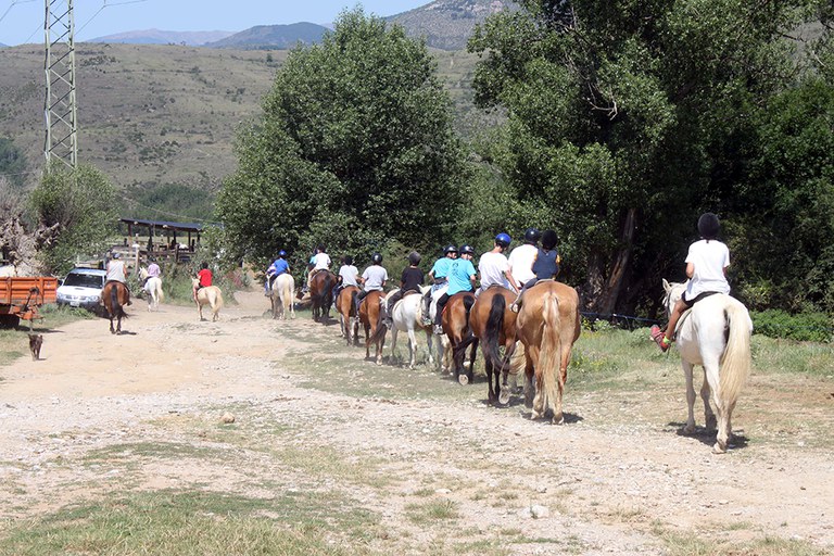 Activitats d'estiu-001.JPG