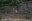 20260621_CRASH CAR  - 3.jpg