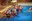 Trobada entre el CN Sant Andreu i els Taurons Waterpolo d'Encamp