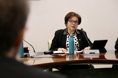 Consell de comú Encamp.