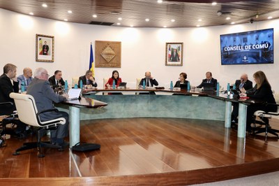 Consell de comú Encamp.