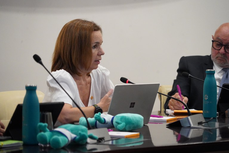 20250626 Consell Comú @ComuEncamp (4).JPG
