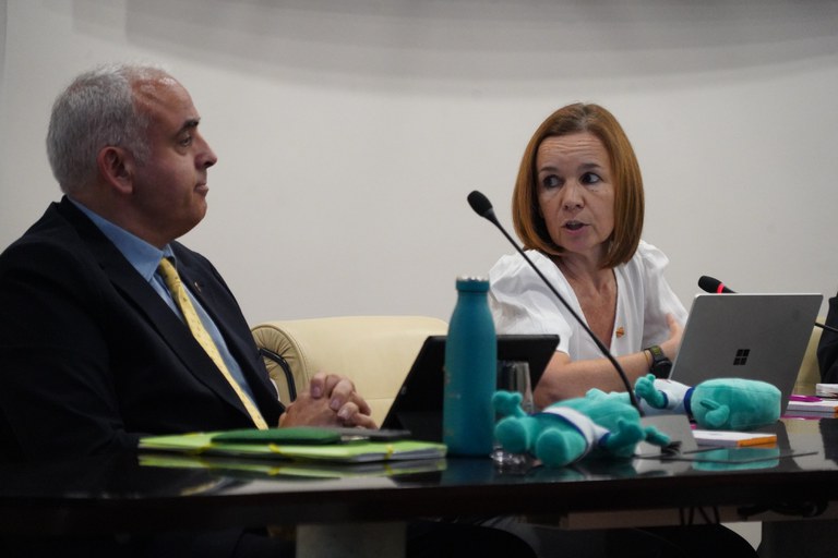 20250626 Consell Comú @ComuEncamp (5).JPG