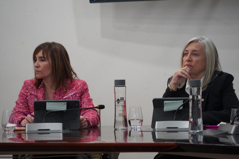 20251127 Consell de Comú @ComuEncamp (18).JPG