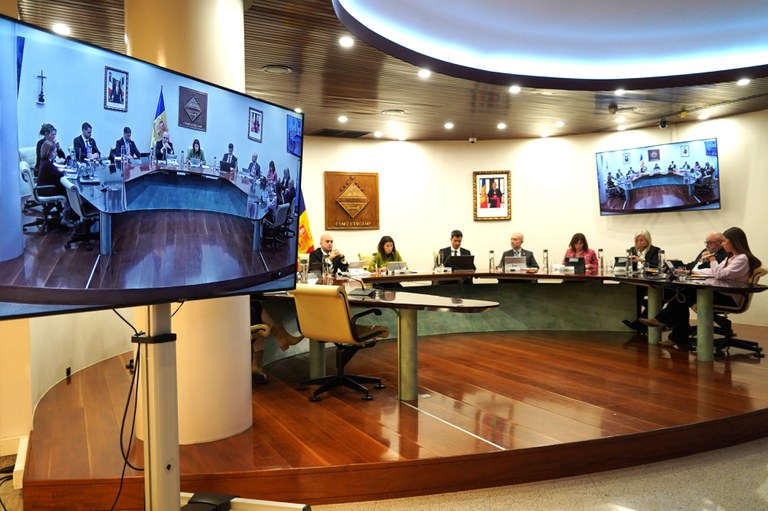 20251127 Consell de Comú @ComuEncamp (34).JPG