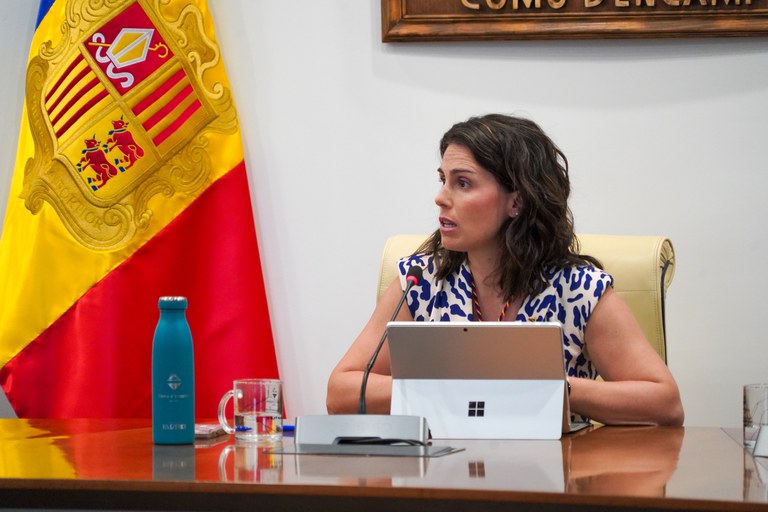 20240718 consell de comu @ComuEncamp (48).jpg