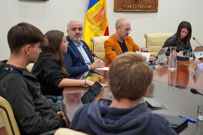 20241112 Consell de joves novembre 2024 @ComuEncamp (40).jpg.