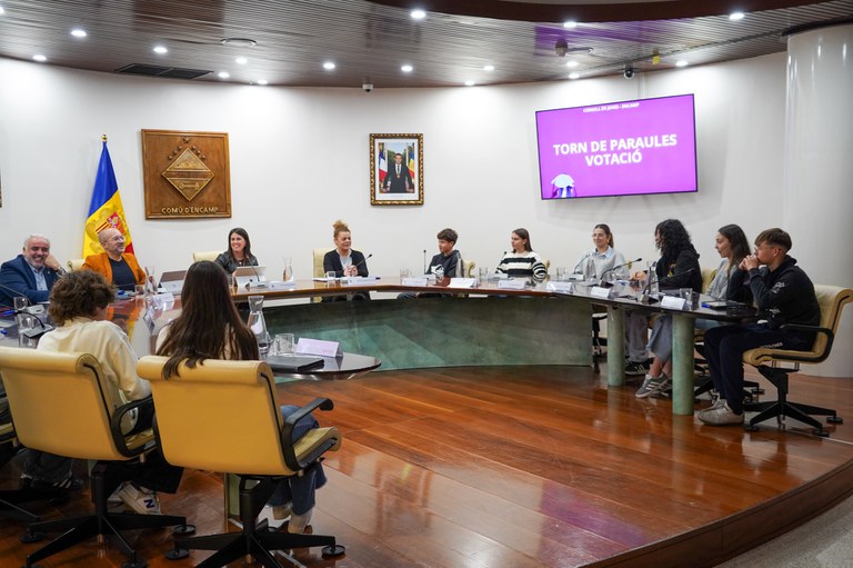 20241112 Consell de joves novembre 2024 @ComuEncamp (42).jpg