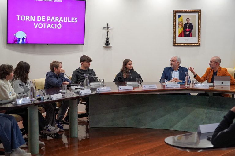 20241112 Consell de joves novembre 2024 @ComuEncamp (46).jpg
