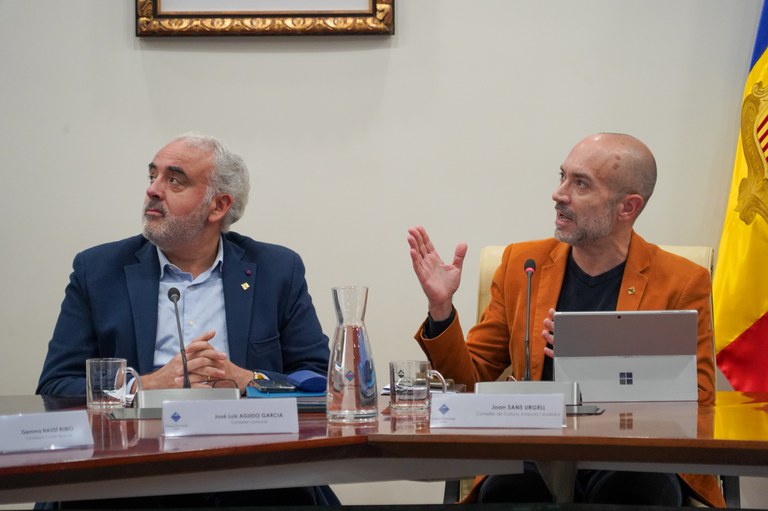 20241112 Consell de joves novembre 2024 @ComuEncamp (57).jpg