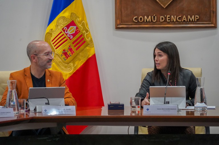 20241112 Consell de joves novembre 2024 @ComuEncamp (80).jpg
