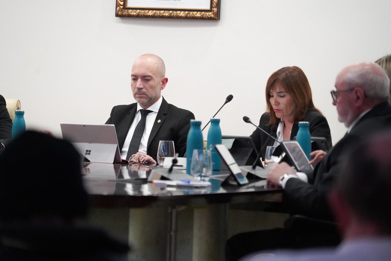 20250224 Consell de comú + Consell de les Talles @ComuEncamp (15).jpg