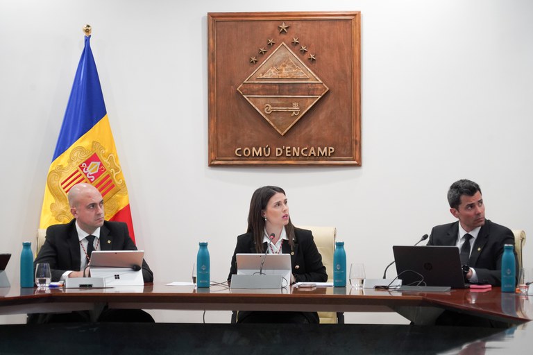 20250224 Consell de comú + Consell de les Talles @ComuEncamp (17).jpg