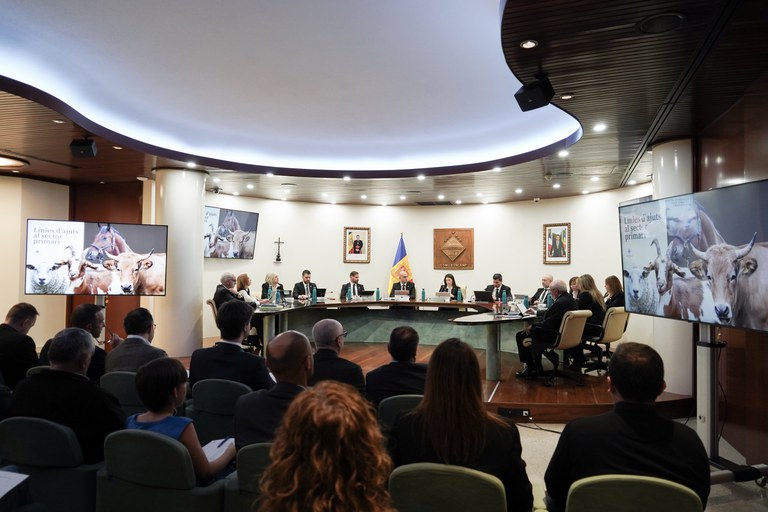 20250224 Consell de comú + Consell de les Talles @ComuEncamp (57).jpg