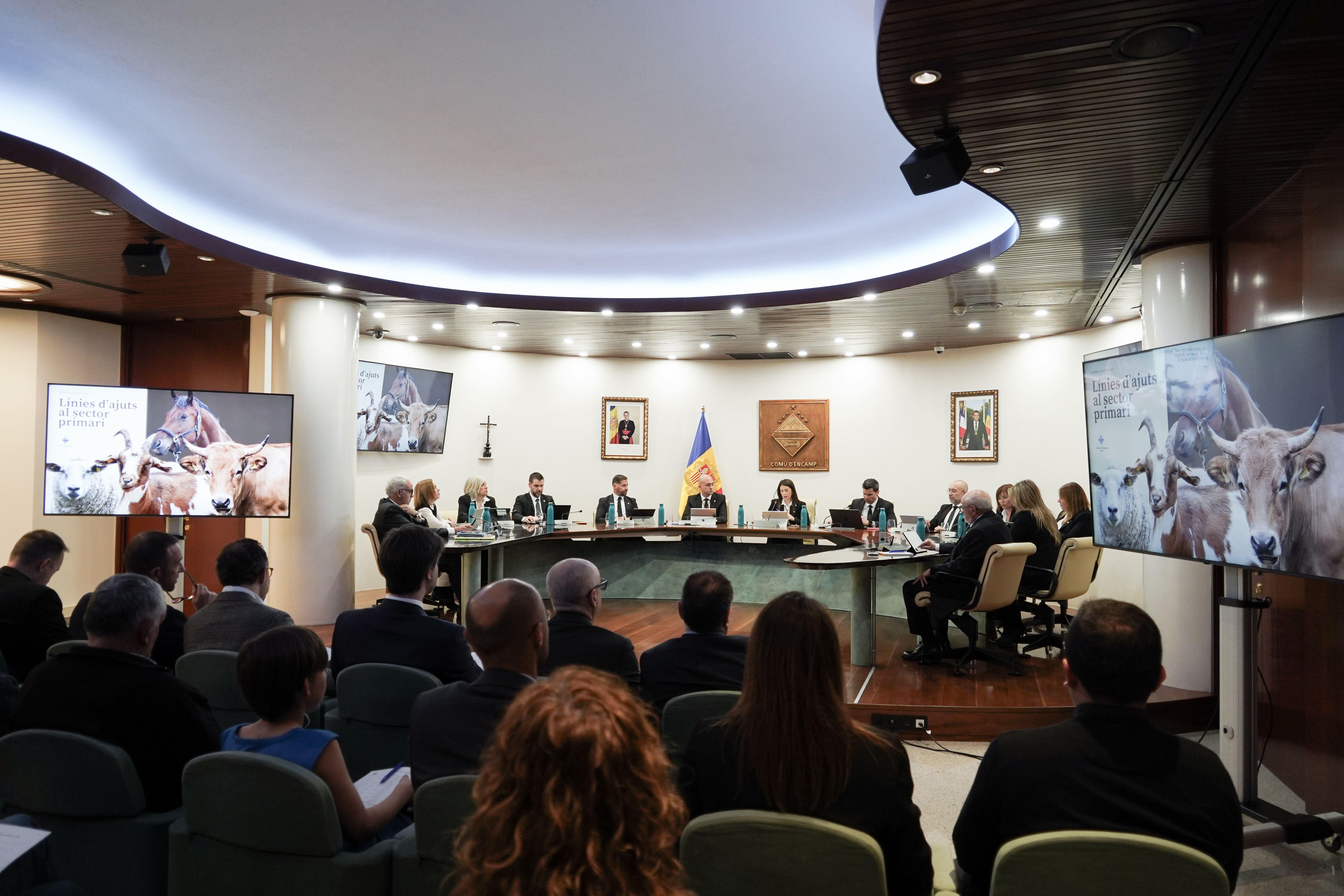20250224 Consell de comú + Consell de les Talles @ComuEncamp (57).jpg