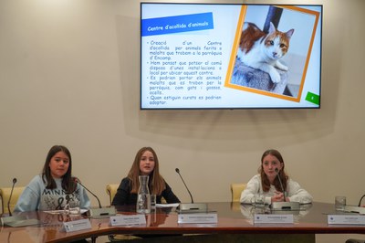 Consell d'Infants novembre Encamp.