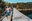 3a OTSO Trail Dog d'Encamp
