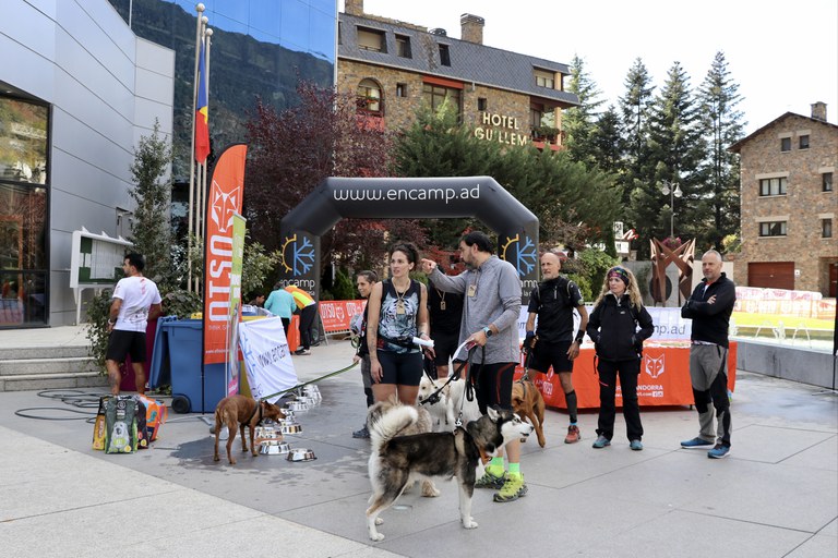 3a OTSO Trail Dog Encamp