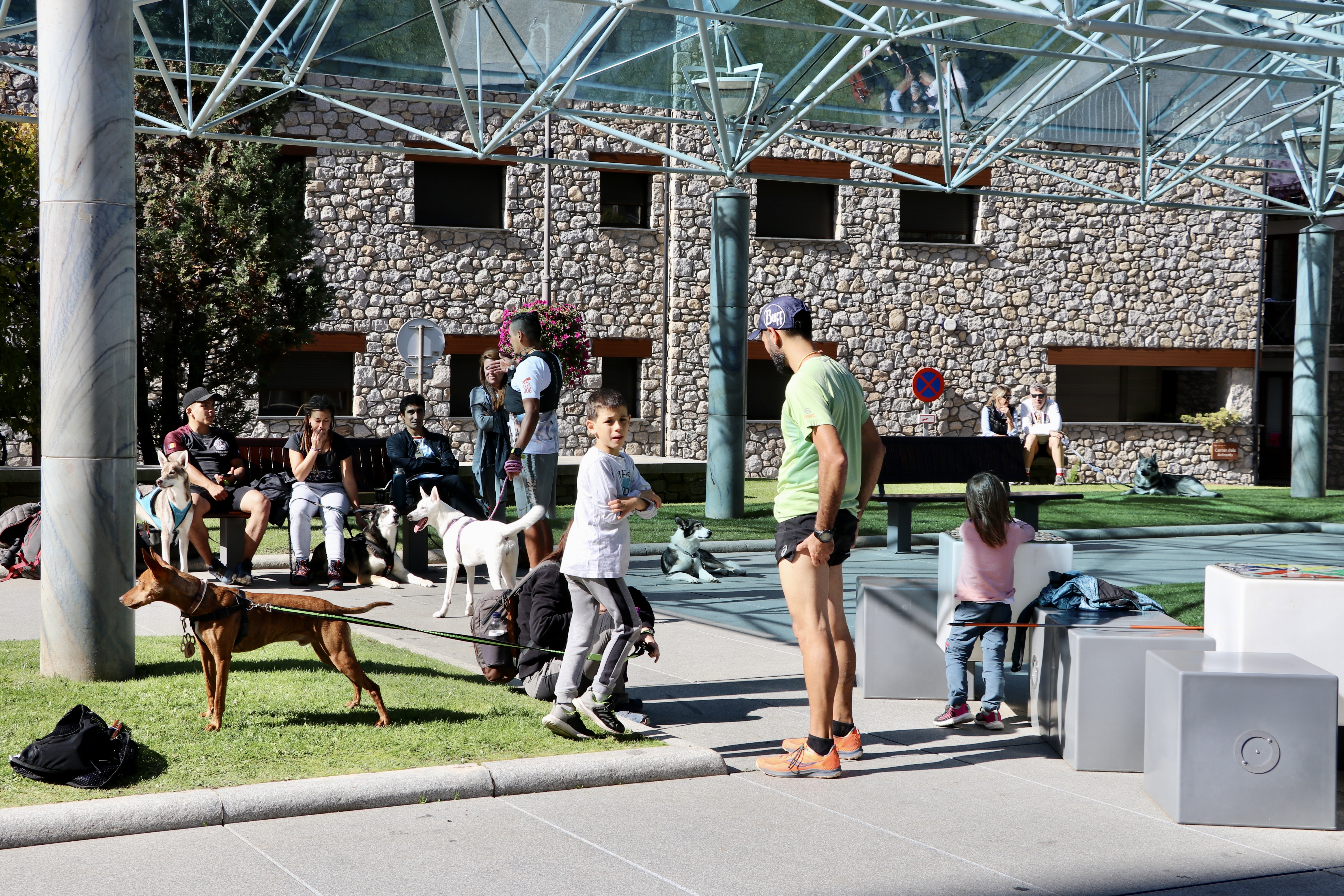 3a OTSO Trail Dog Encamp