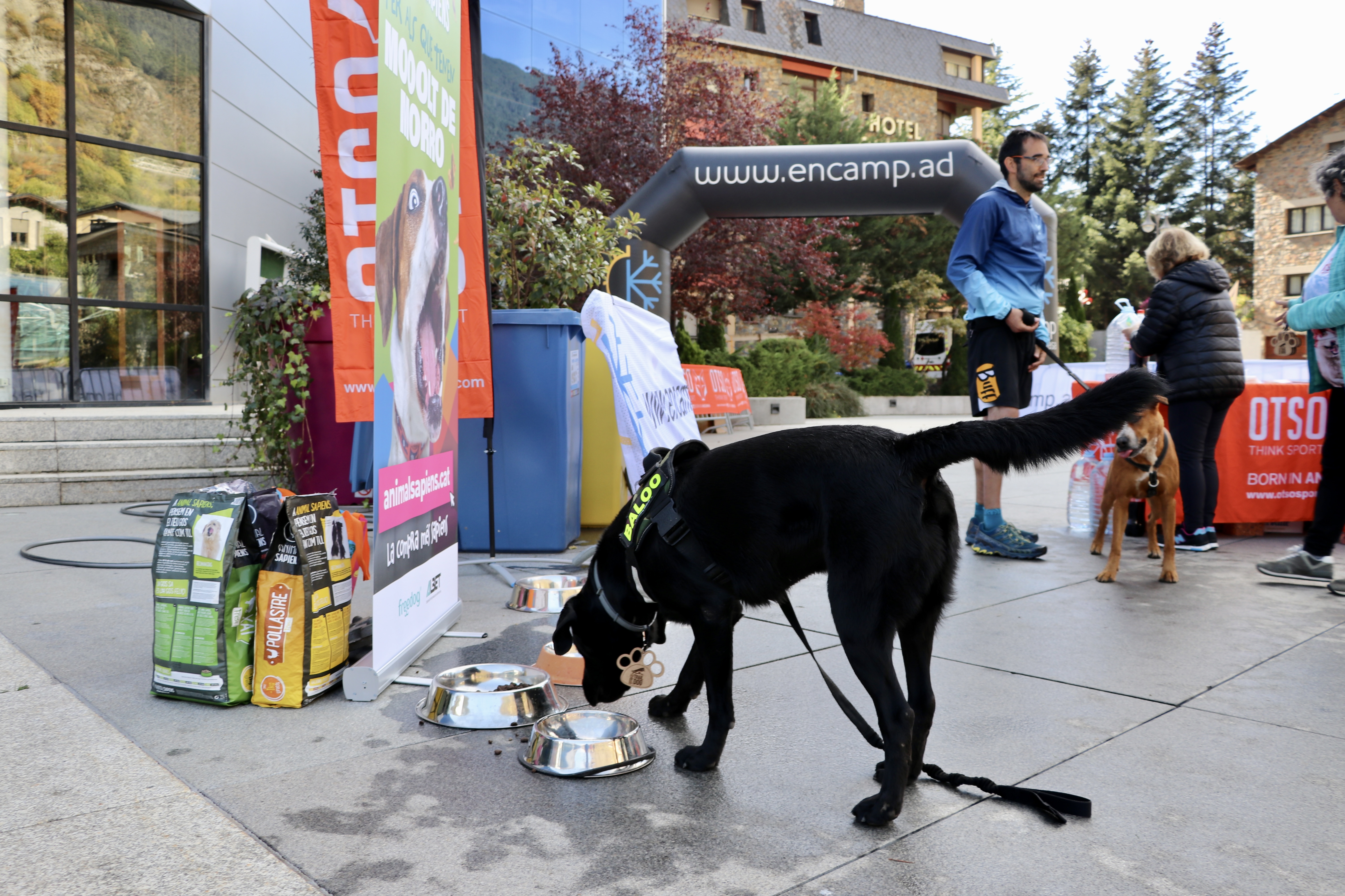 3a OTSO Trail Dog Encamp