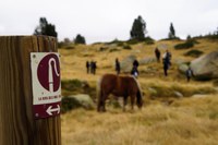 Darreres rutes guiades i vies ferrades de tardor d’Encamp aquest dissabte 28 d’octubre i el dimecres 1 de novembre