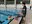 Nedadors de la selecció japonesa a la piscina del Centre Esportiu del Pas de la Casa