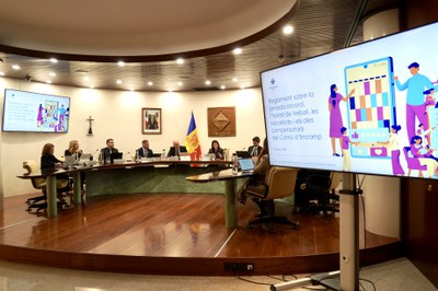 20261029 ConsellComu @ComuEncamp.jpg.