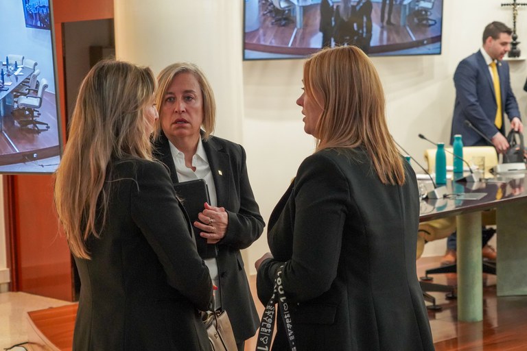 Sessió del Consell de Comú d'Encamp - 18 de gener de 2024