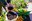 20240417 Reparticio compost @ComuEncamp (11).jpg
