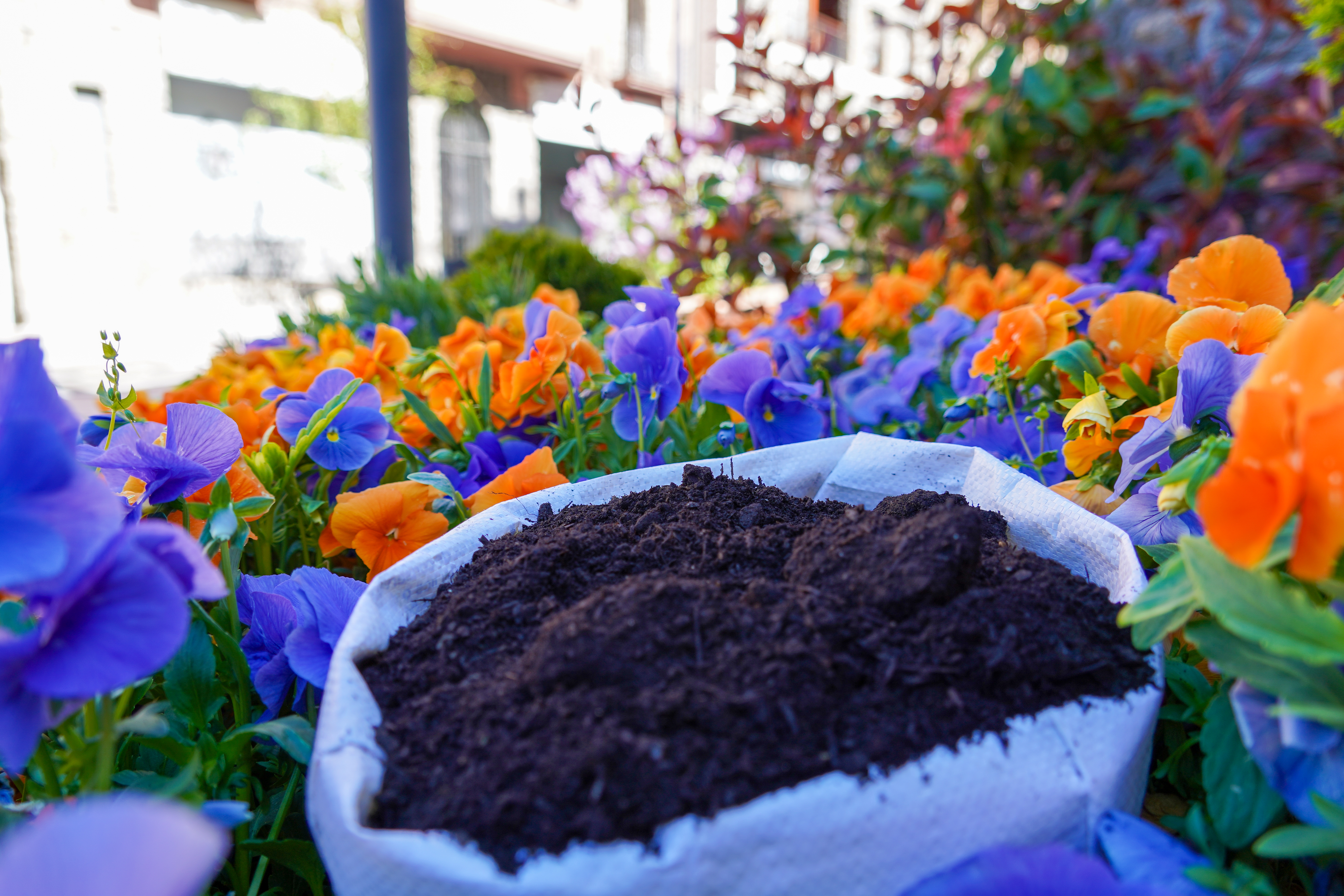 20240417 Reparticio compost @ComuEncamp (12).jpg