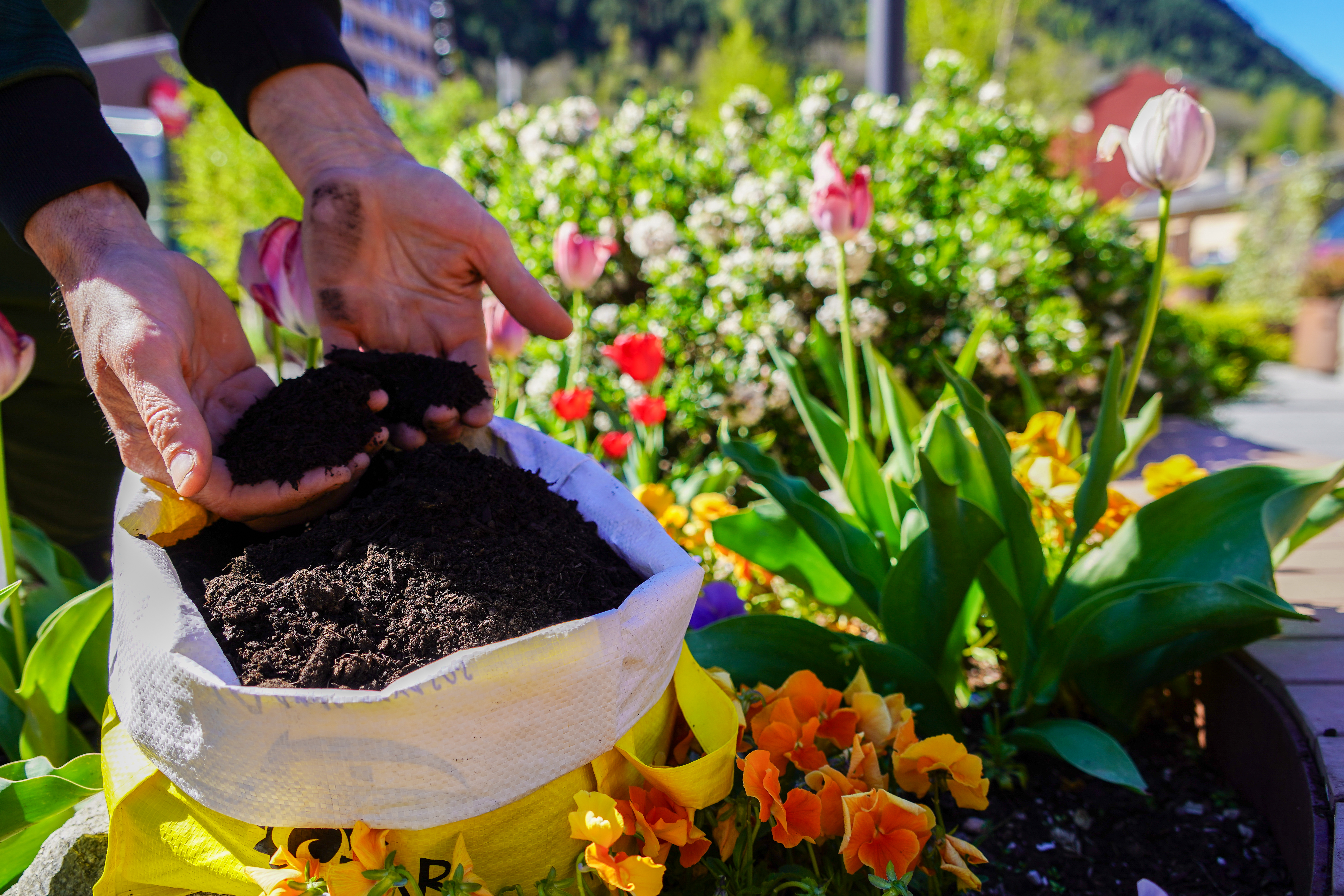 20240417 Reparticio compost @ComuEncamp (8).jpg