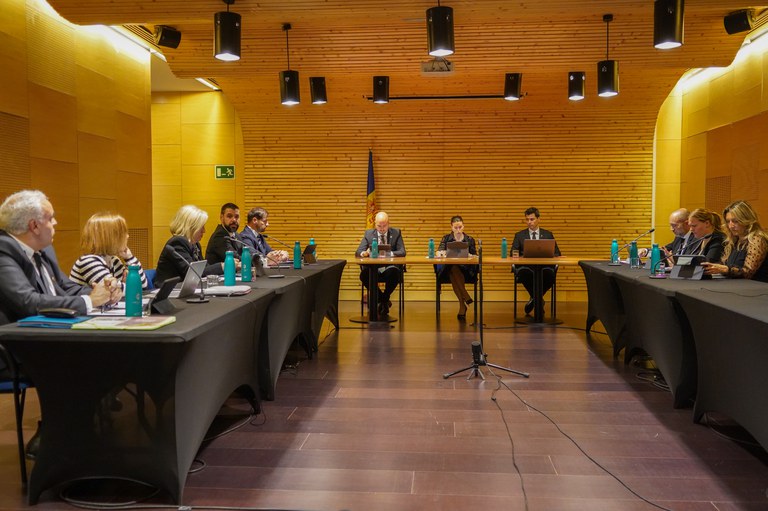 20240620 consell de comu pas de la casa @ComuEncamp (69).jpg