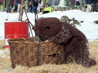 El Comú d’Encamp presenta el programa d’actes de Carnaval destacant l’esforç de tots els organitzadors 