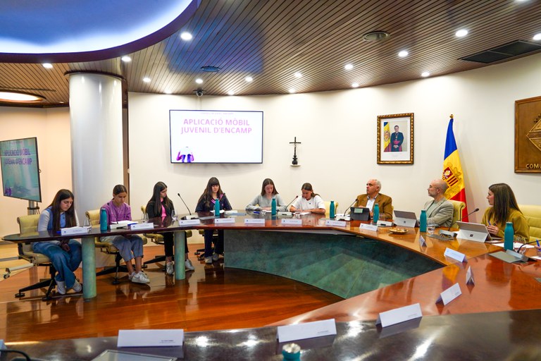 20250505 consell de joves @ComuEncamp (28).jpg