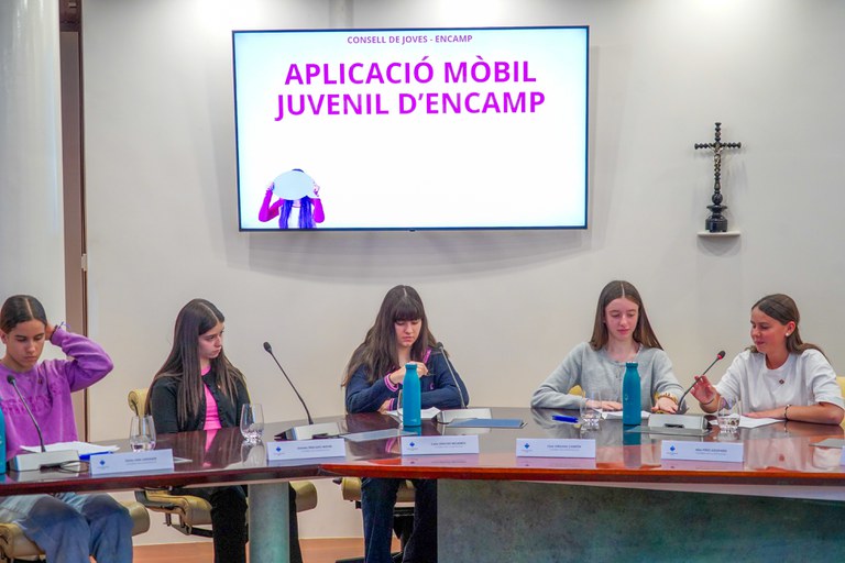 20250505 consell de joves @ComuEncamp (29).jpg