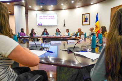 20250505 consell de joves @ComuEncamp (31).jpg.