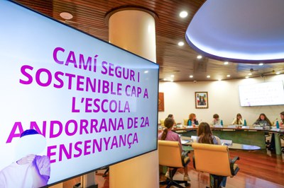 20250505 consell de joves @ComuEncamp (47).jpg.